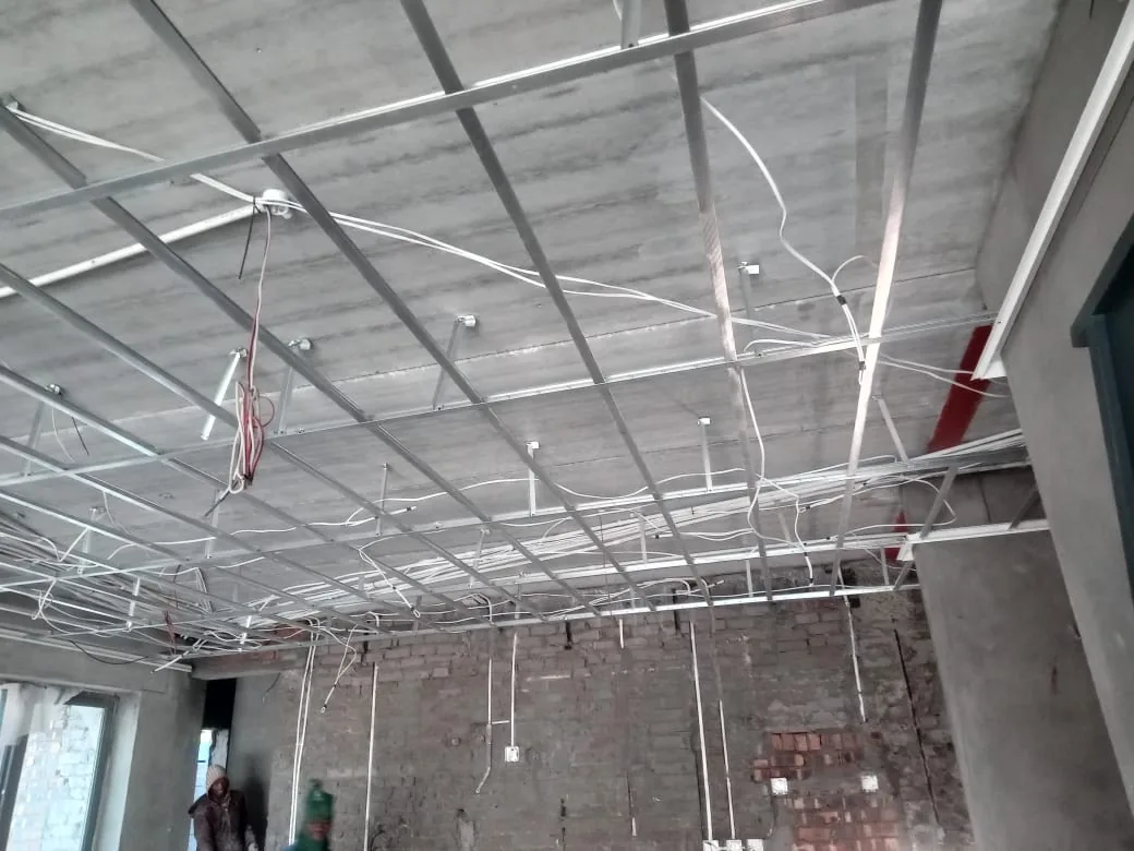 Ceiling and light work